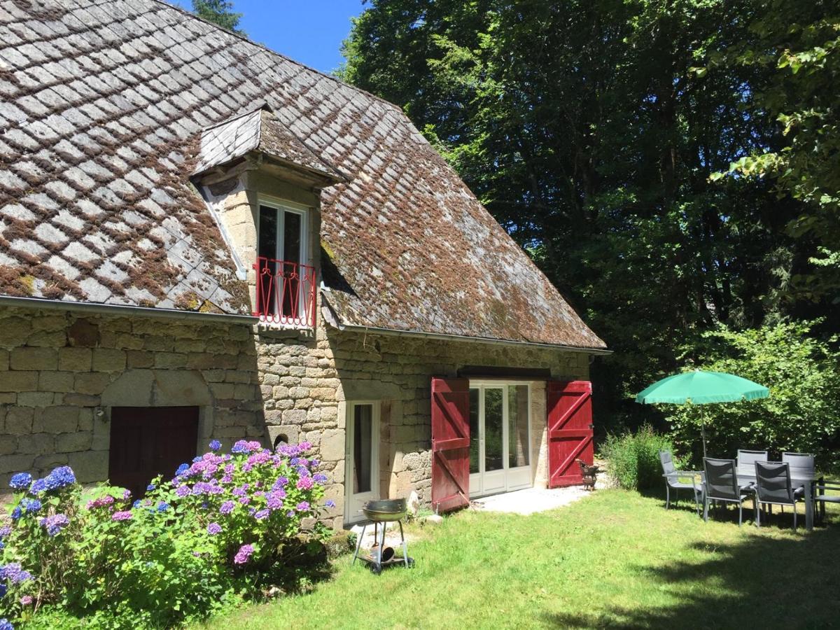 Gites Chateau Le Bois Saint-Julien-aux-Bois Kültér fotó