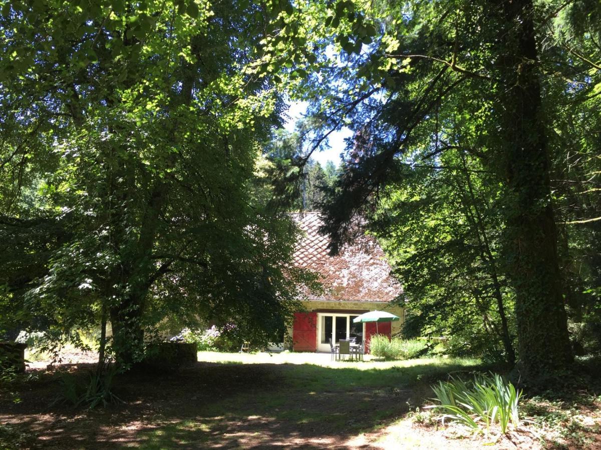 Gites Chateau Le Bois Saint-Julien-aux-Bois Kültér fotó