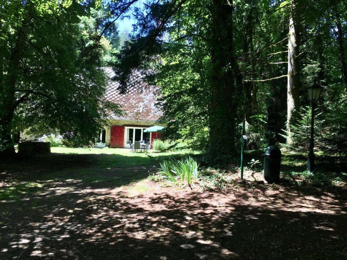 Gites Chateau Le Bois Saint-Julien-aux-Bois Kültér fotó