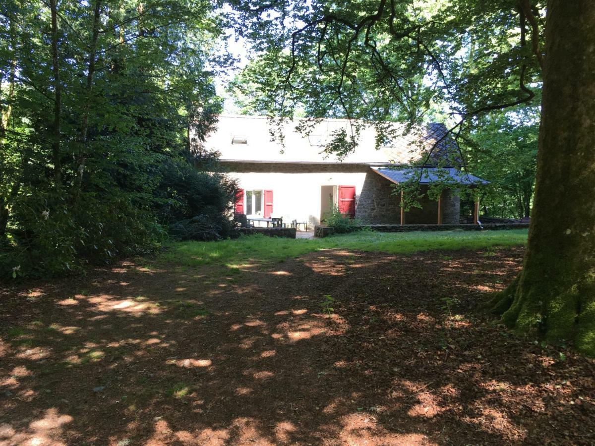 Gites Chateau Le Bois Saint-Julien-aux-Bois Kültér fotó