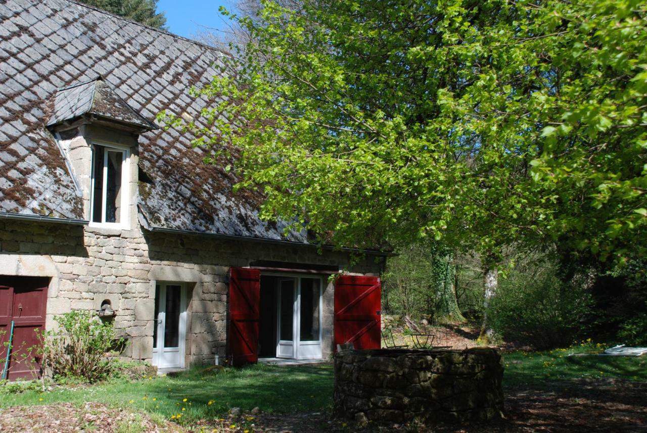 Gites Chateau Le Bois Saint-Julien-aux-Bois Kültér fotó