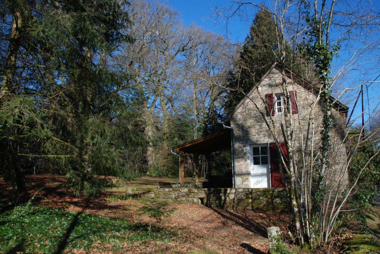Gites Chateau Le Bois Saint-Julien-aux-Bois Kültér fotó